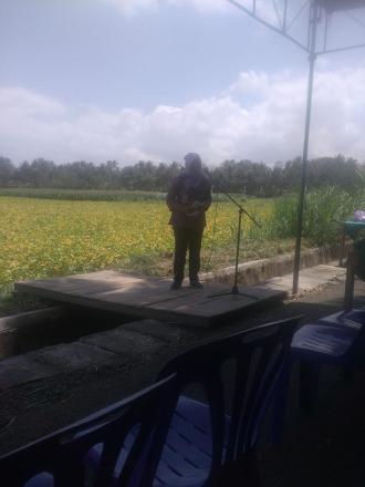 Panen Raya Bulak Selobentar Desa Trimurti