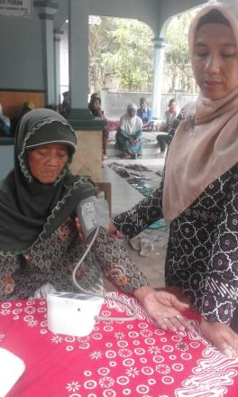 Posyandu Lansia, Fasilitas Pelayanan Kesehatan Pedukuhan Puron