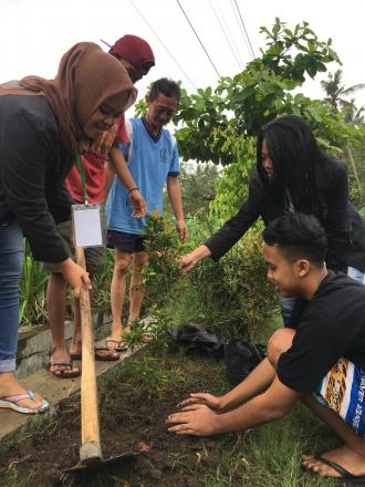 Pohon Pucuk Merah untuk Melestarikan Lingkungan Dari KKN Stipram Yogyakarta