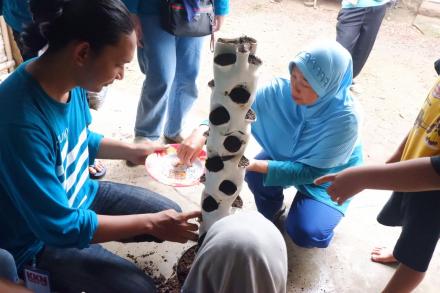 Pelatihan Vertikultur dan Pengolahan Limbah Tahu Kepada Ibu-ibu Dasawiswa