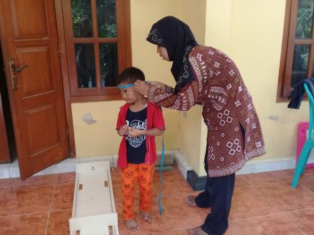 SDIDTK Posyandu Mekar Murti