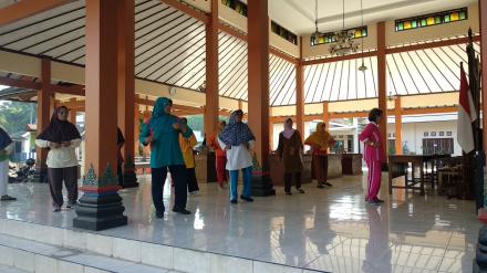 Senam Lansia, Pelayanan Kesehatan Bagi Kaum Lansia 