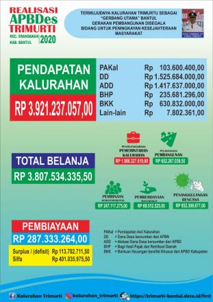Laporan Realisasi Anggaran Pendapatan dan Belanja Desa Trimurti