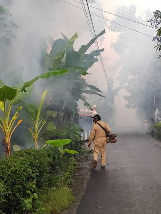 Fogging Nyamuk di Dusun Mangiran, Warga Berharap Terhindar dari Demam Berdarah